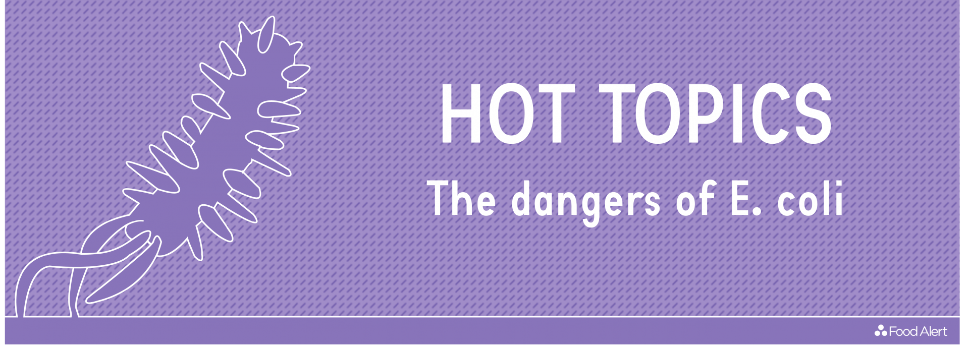 THE DANGERS OF ECOLI