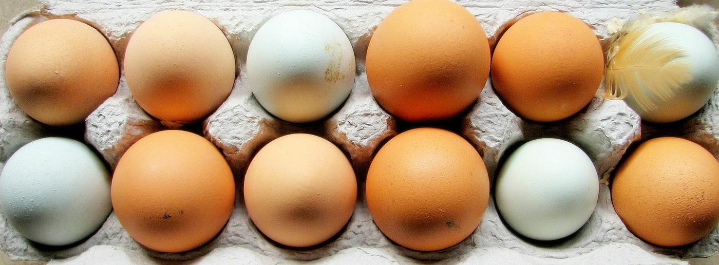 8 things you need to know about eggs to avoid food poisoning