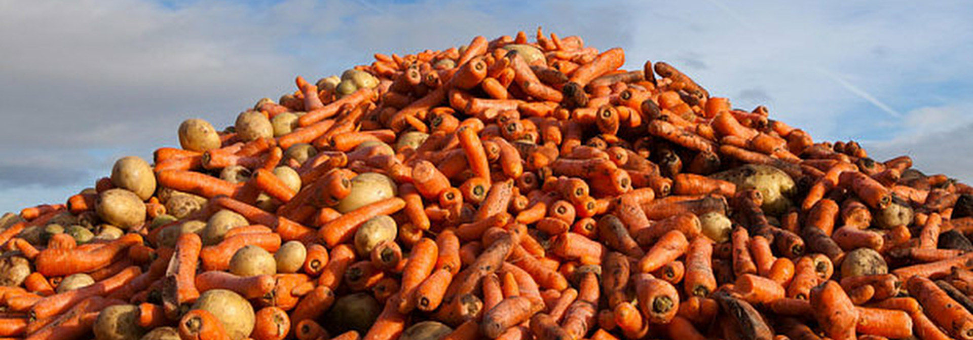 The business cost of food waste