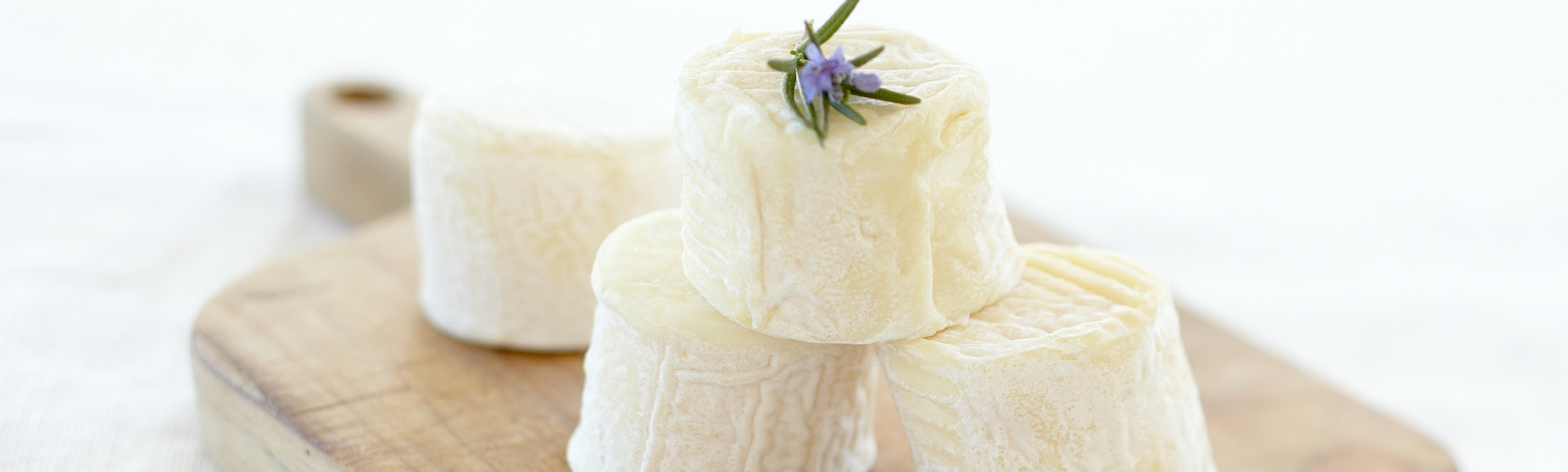 Unpasteurised Cheese and Listeria Monocytogenes – The risks