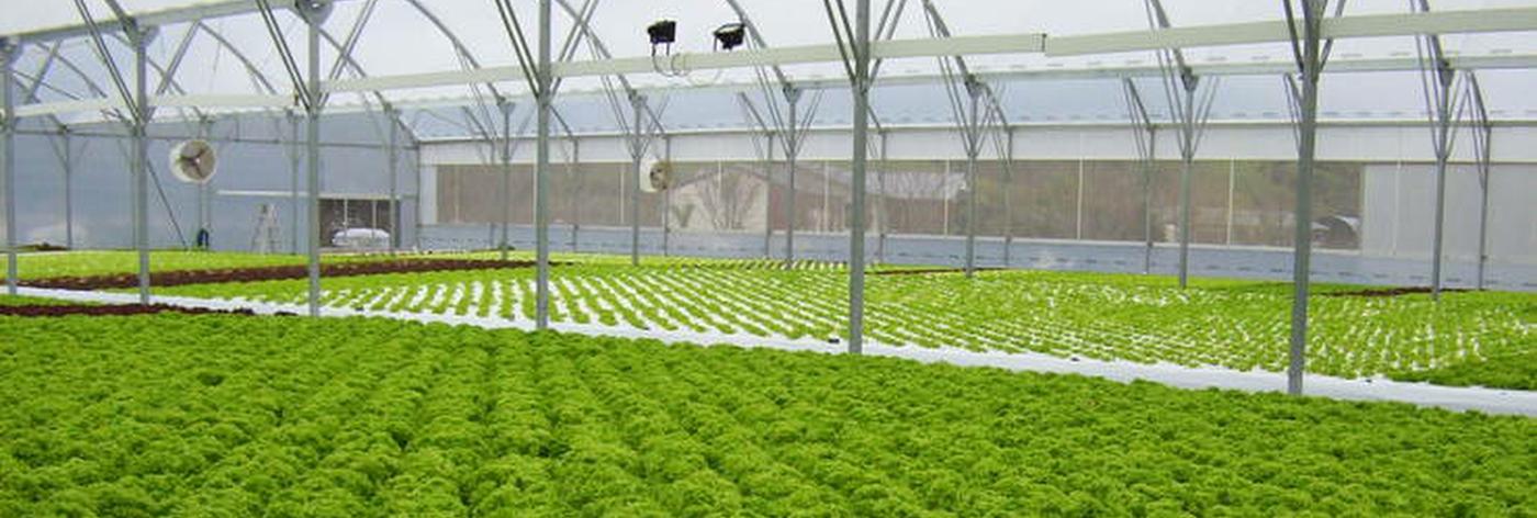 High-Tech Farming | Food Alert