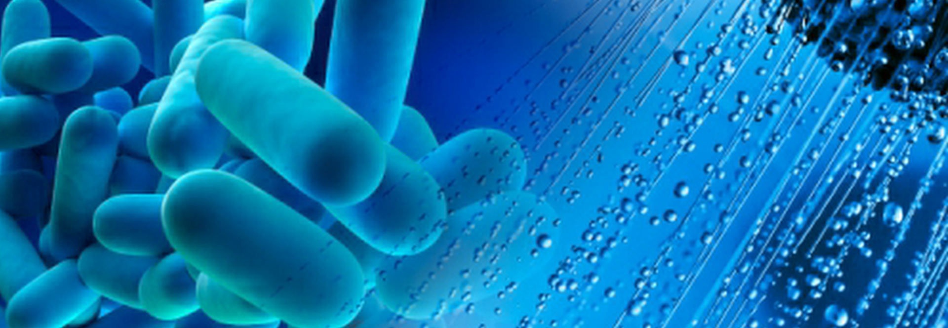 Protecting Your Business from Legionella